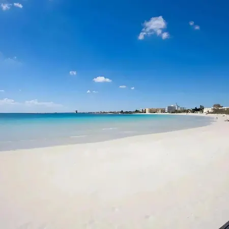 Loft Quiete - Terrazza, Comfort E Silenzio Vicino Porto Cesareo